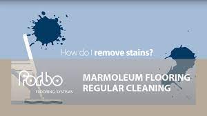 marmoleum flooring regular cleaning