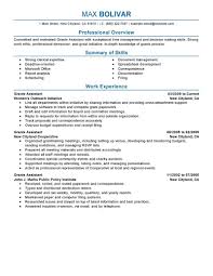 Professional Summary Brilliang Administrative Assistant Resume Template  Word Docs Pics    Administrative Assistant Resume Template Word    