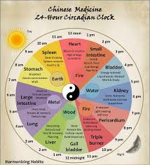 Chinese Biological Clock Blog Golden Point Acupuncture