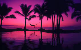 , amazing purple sunset wallpaper beach wallpapers 2560×1600. Seamless Vector Tropical Fashion Pattern Green Stock Vector Beach Sunset Wallpaper Purple Beach Sunset Wallpaper