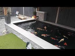 Guide For Koi Ponds Best Ideas How