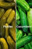What makes pickles different from cucumbers?