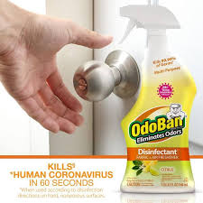 disinfectant spray odor eliminator