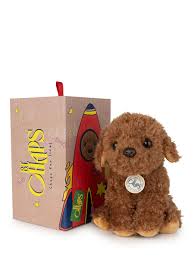 stacy the labradoodle in giftbox 17