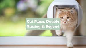 Cat Flaps In Double Glazing Options