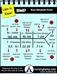 Bmp Basic Metabolic Panel Nursing Mnemonics Nursing Labs