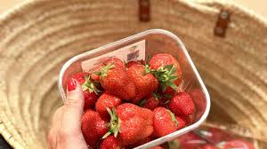 Image result for ravier de fraise