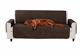 7 Dog Couch Protectors To Keep Your