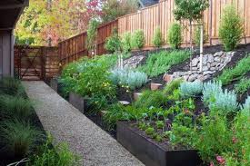 Sloped Backyard Landscaping