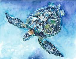 Sea Turtle No 21 Watercolor Print By