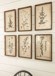 Collected Botanical Prints Set Of 6