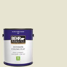 White Ceiling Flat Interior Paint