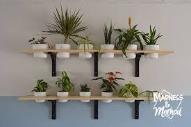 Plant Shelves Diy New Office