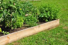 Use Garden Soil Plus For Raised Bed