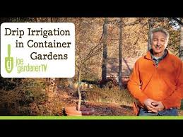 Drip Irrigation Basics Container