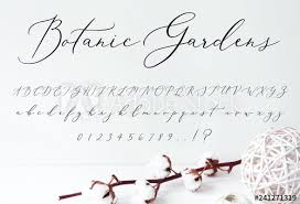 Botanic Gardens Script Font Alphabet For Wedding Invitations