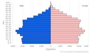 chile demographics ethnic groups
