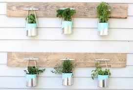 How To Grow A Herb Garden The Easy Way