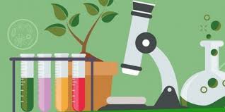 Green chemistry e bioconversione dei rifiuti: il futuro del laboratorio è  verde?
