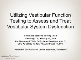 utilizing vestibular function testing