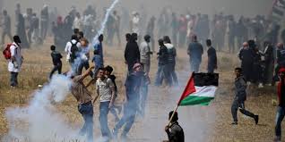 Palestina akan kehilangan tanah di negev, dekat perbatasan gaza dan mesir. Solusi Dua Negara Satu Negara Dan Solusi Lain Untuk Konflik Palestina Israel Merdeka Com