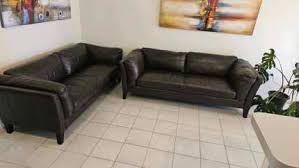 freedom leather lounge sofas