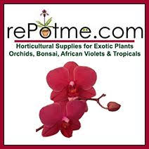rePotme Orchid Supplies (repotme) - Profile | Pinterest