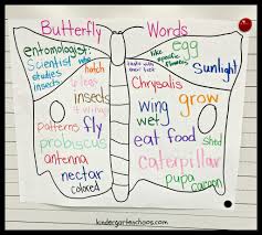 Kwl Butterfly Words Anchor Chart Kindergartenchaos Com