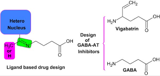 Ligand Based Drug Design Of New Heterocyclic Imines Of Gaba