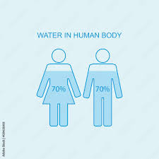 water in human body water content