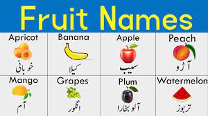 fruits name in hindi and urdu learn
