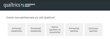 Customer Satisfaction Surveys 6 Questions Examples