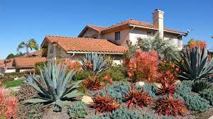 What Is Xeriscaping And How To Apply It