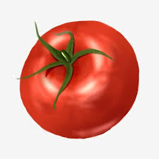  Gambar Ilustrasi Percuma Tomato Merah Kartun Tomato Tomato Kartun Ilustrasi Percuma Ilustrasi Makanan Tomato Percuma Png Dan Psd Untuk Muat Turun Percuma Ilustrasi Kartun Ilustrasi Makanan