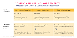 Directors And Officers Insurance Examples gambar png
