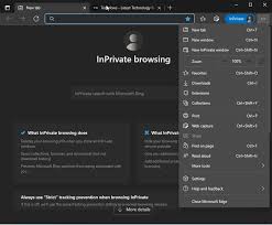 inprivate mode gets dark theme