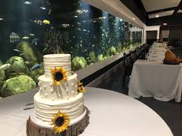 Before the cake is cut the mc can ask the guests if they would like to take photos. Non Cheesy Cake Cutting Songs 2021 Cc King Entertainment
