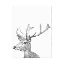 deer portrait canvas prints wall art