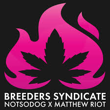 Breeders Syndicate