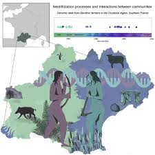 neolithic genomic data from southern