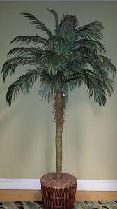 palm tree decorations hawaiian decor