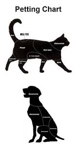 14 Best Animal Petting Charts Images In 2014 Cute Animals