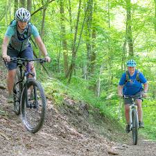 the mountain bike cure exercise fresh