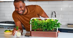 Hydroponic Planters For Growing On