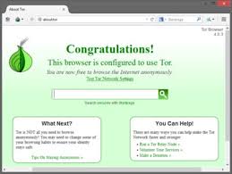 Tor can hide your true ip address and circumvent state censorship. Download The Latest Version Of Tor Browser Portable Free In English On Ccm Ccm