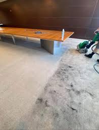austin carpet cleaning luka chem dry