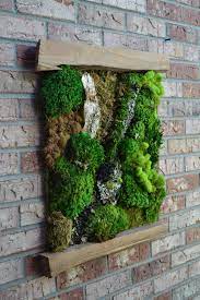 Living Moss Wall Art Moss Wall