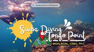 scuba diving at tongo point moalboal