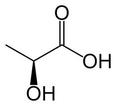 Anaerobic Respiration Definition