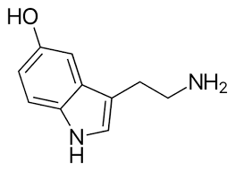 dopamine vs serotonin chemical